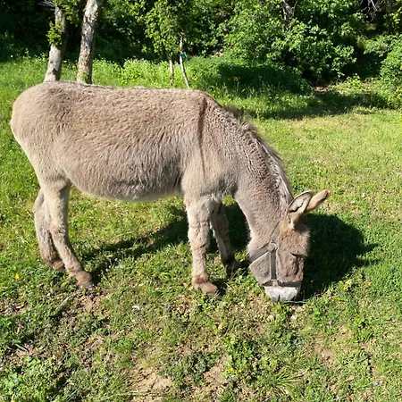 Gite A La Campagne Saint-Peray Exterior photo