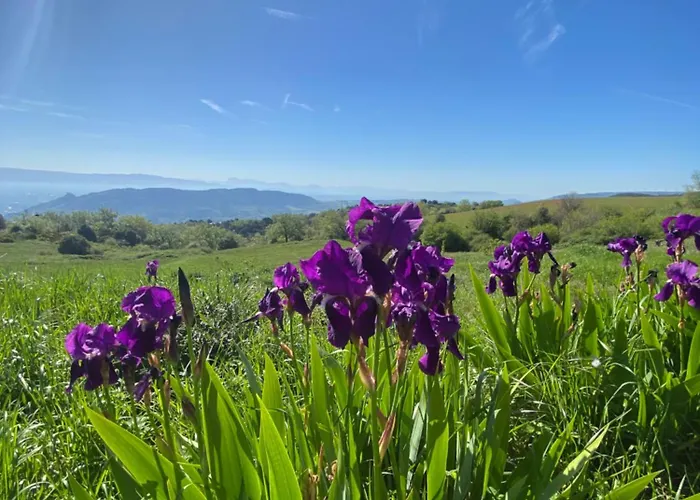 Gite A La Campagne